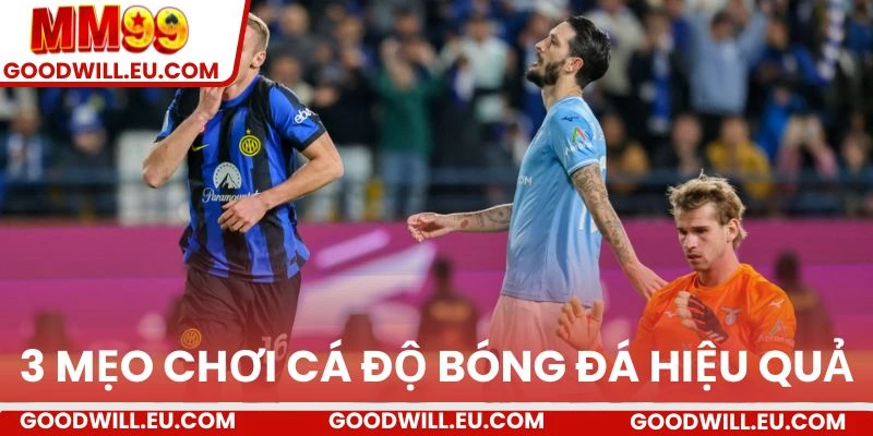 3 Mẹo chơi cá độ bóng đá hiệu quả.