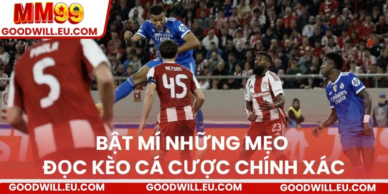 Bật mí những mẹo đọc kèo cá cược chính xác.