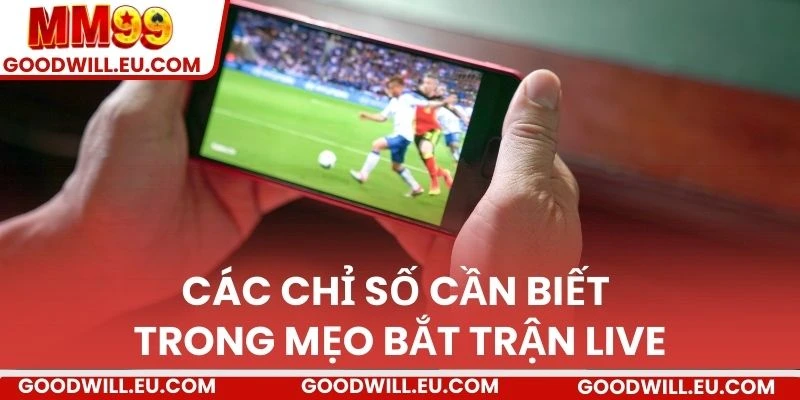 Các chỉ số cần biết trong mẹo bắt trận live