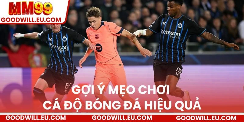 Gợi ý mẹo chơi cá độ bóng đá hiệu quả.