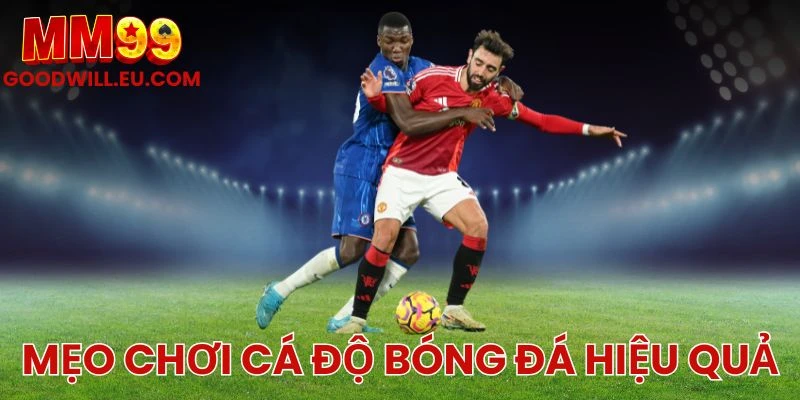 Mẹo chơi cá độ bóng đá hiệu quả MM99 - Hướng dẫn soi kèo chuẩn từng trận