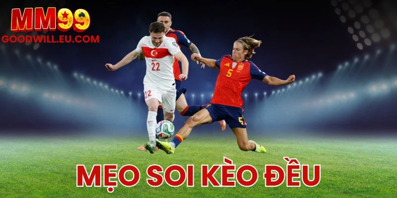 MM99 - Giúp Người Chơi Thắng Lớn Mỗi Ngày