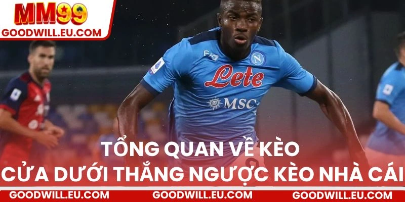 Tổng quan về kèo cửa dưới thắng ngược kèo nhà cái